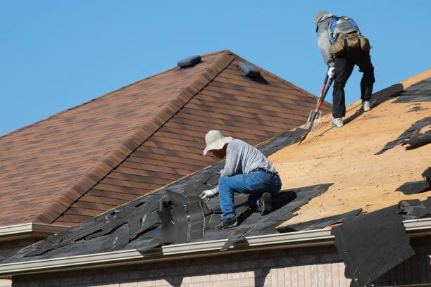 Reliable Hawkinsville, GA Roofing services Solutions