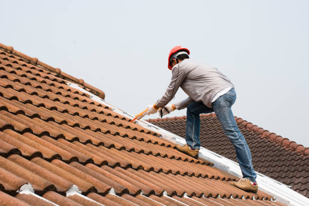 Best Tile Roofing Installation  in Hawkinsville, GA