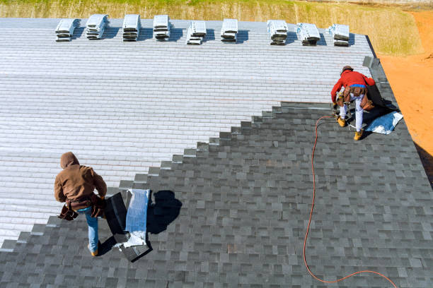 Best Roof Ventilation Installation  in Hawkinsville, GA